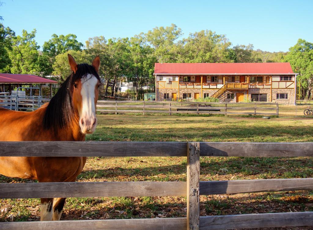 Pilliga Pottery Creative Farmstay Coonabarabran Quarto foto